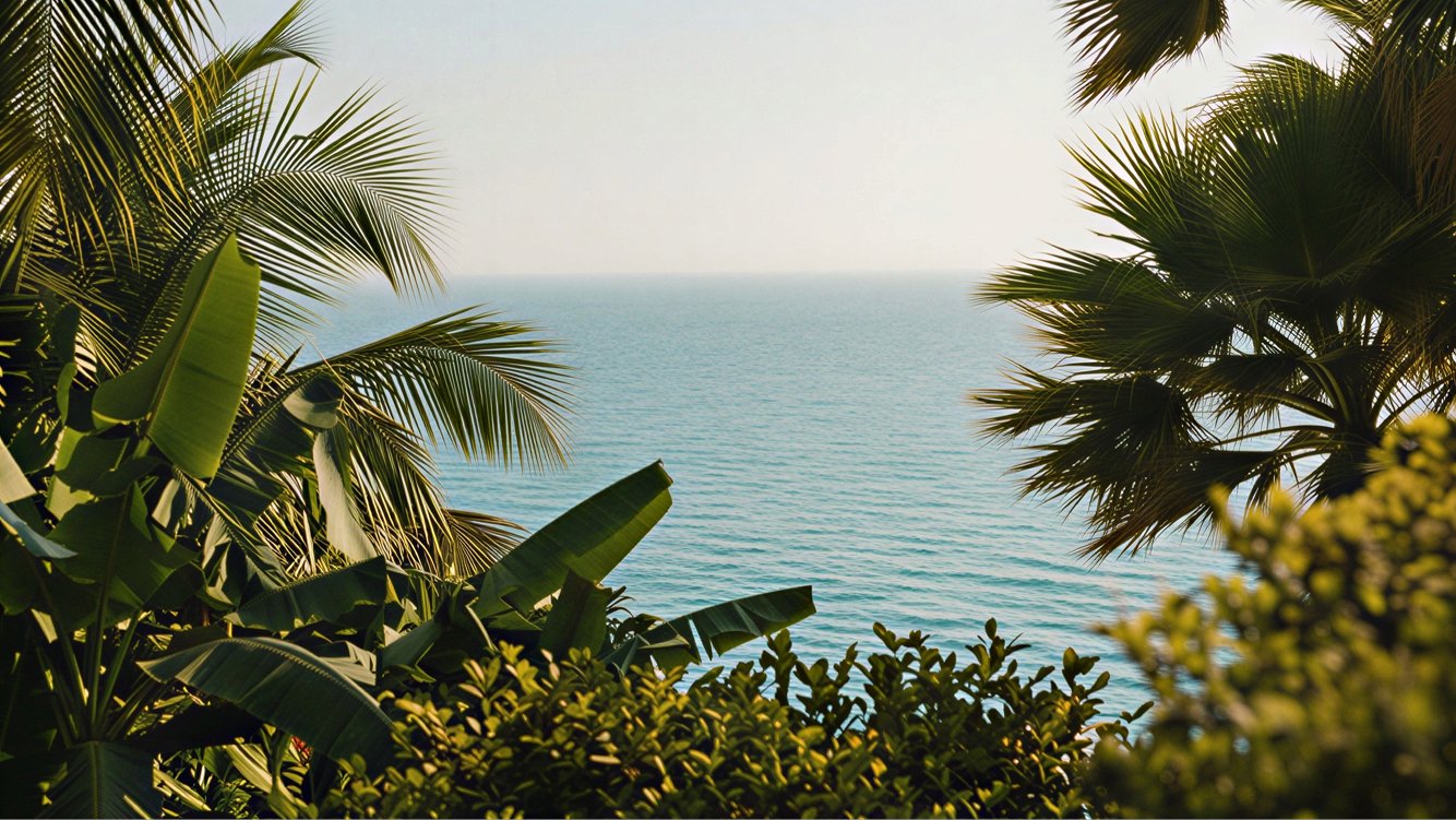 Amrai coastal ocean view framed by tropical palm trees
